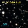 V* V1089 Aql