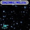 [SKJ2001] M1.11c