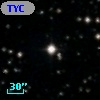 TYC 1092-981-1