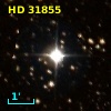 HD  31855