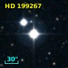 HD 199267