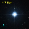 *   7 Ser