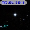 TYC  931-213-1