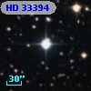 HD  33394