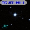 TYC  955-808-1