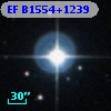 EF B1554+1239