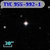 TYC  955-992-1