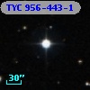 TYC  956-443-1