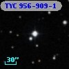 TYC  956-909-1