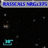 RASSCALS NRGs375