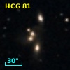HCG  81