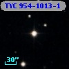 TYC  954-1013-1
