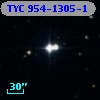 TYC  954-1305-1