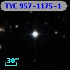 TYC  957-1175-1