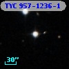 TYC  957-1236-1