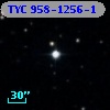 TYC  958-1256-1