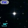 TYC  971-931-1