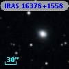 IRAS 16378+1558