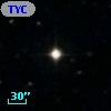 TYC  973-337-1