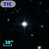 TYC  973-564-1