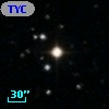 TYC  973-635-1