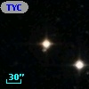 TYC  973-767-1