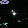 TYC  973-913-1