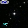 TYC  973-980-1