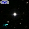 TYC  973-686-1