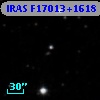 IRAS F17013+1618