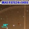 IRAS F17124+1431