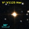V* V1125 Her