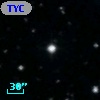 TYC  989-318-1