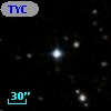 TYC  990-1703-1