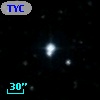 TYC 1537-1698-1