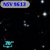 NSV  8613