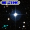 HD 173606