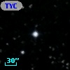 TYC 1005-1392-1