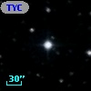 TYC 1538-1113-1