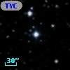 TYC 1005-1168-1