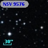 NSV  9576