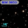 NSV  9853