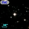 TYC 1019-1393-1