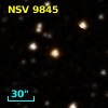 NSV  9845