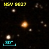 NSV  9827