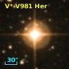V* V981 Her