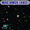 IRAS 18029+1422