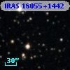 IRAS 18055+1442