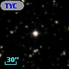 TYC 1567-312-1