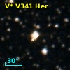 V* V341 Her